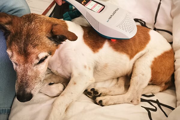 Lasertherapie