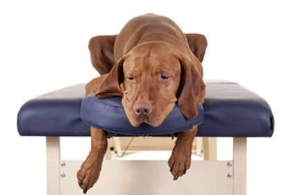 Therapiebank